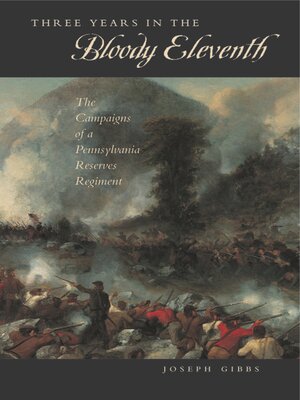 cover image of Three Years in the "Bloody Eleventh"